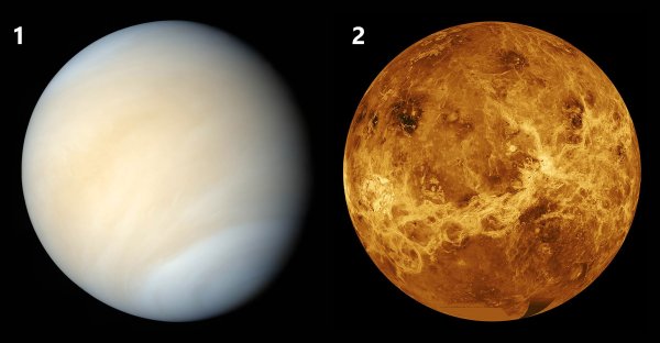 Венера САЙЁРАСИ