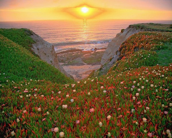 Земная красота