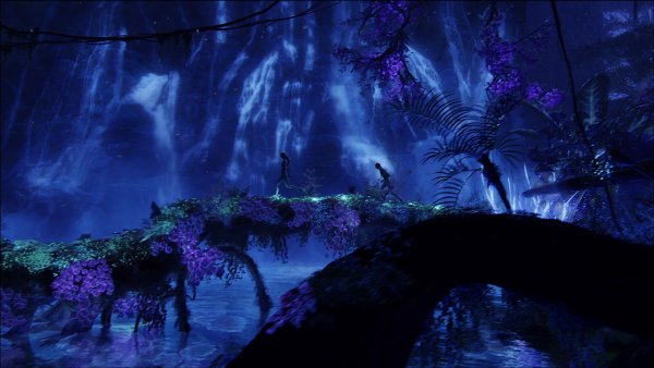 Аватар фильм 2009 лес