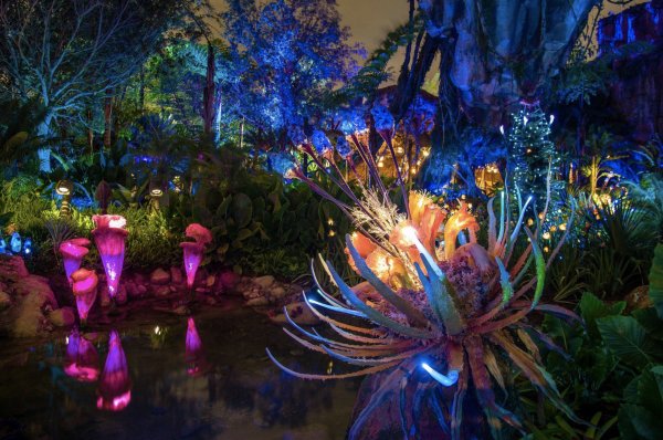 Аватар фильм Пандора