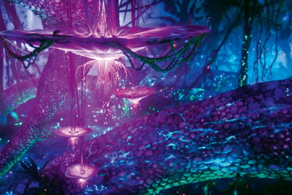 Планета Пандора аватар