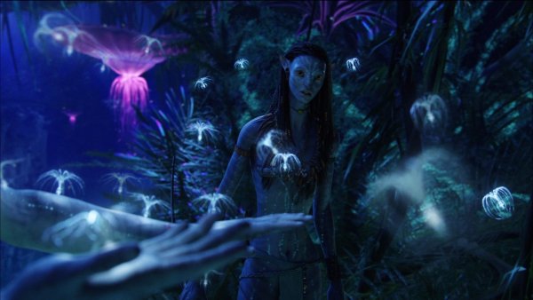 Аватар Джеймс Кэмерон лес