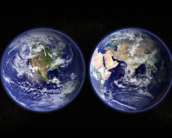 Планета кошек