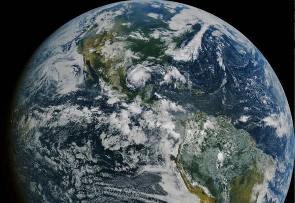 Ptvkz BP rjcvjcf реальные