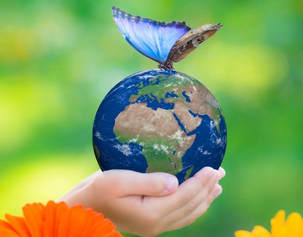 Сохраним планету вместе