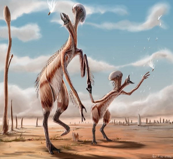 Алекс Риес художник