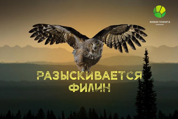 Программа телеканала «Живая Планета»