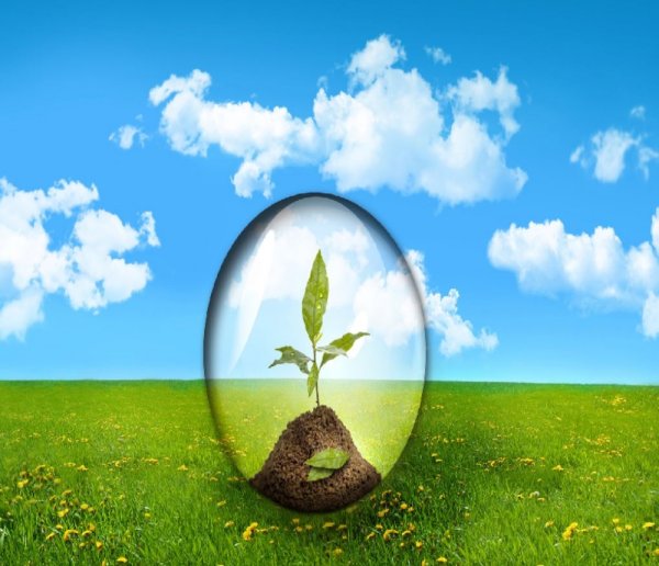 Природа чистый воздух