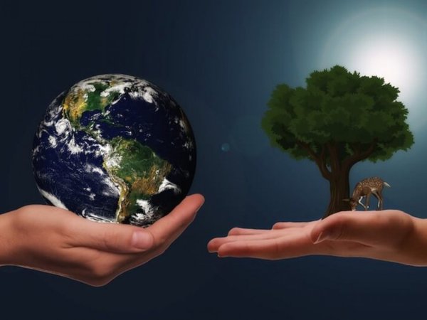 Земля в руках человека