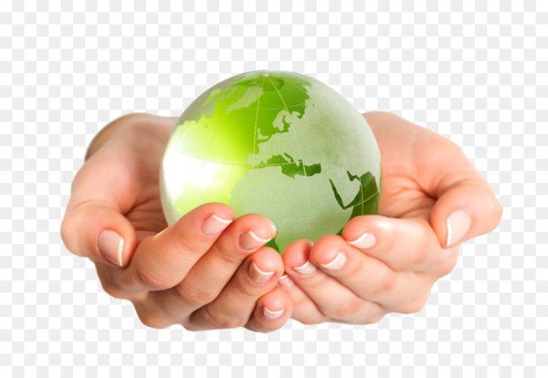 Руки держат землю