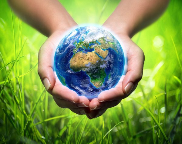 Сохранение природы