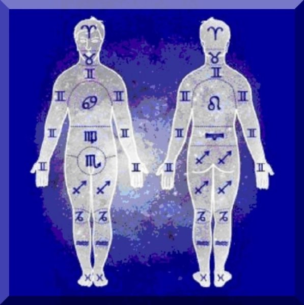 Знаки зодиака на теле человека