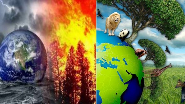 Глобальная экология