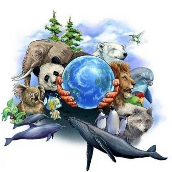 Животные земли