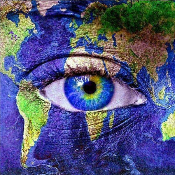 Живые организмы на земле