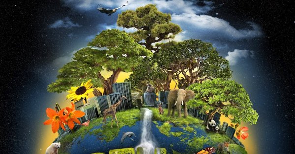 Многообразие природы