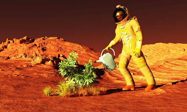 Жизнь на Марсе