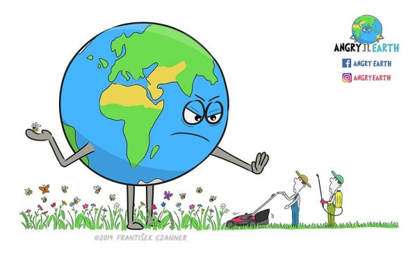 Смешная Планета земля