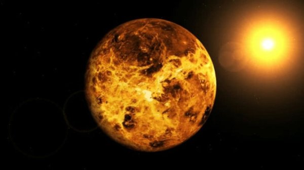 Планта Венера