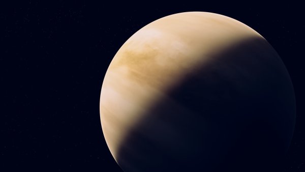 Венера фото