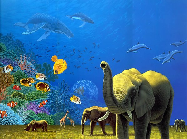 Мир животных