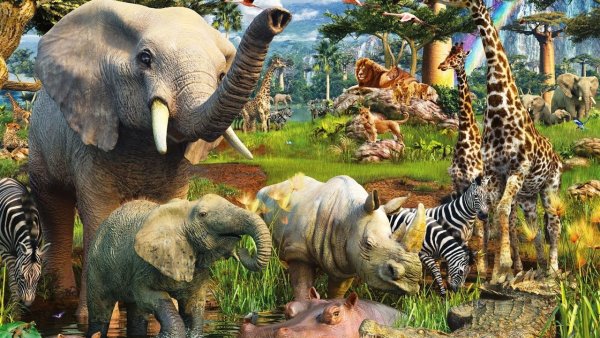 Пазл Равенсбургер 18000