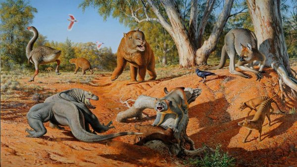 Мегафауна Африки