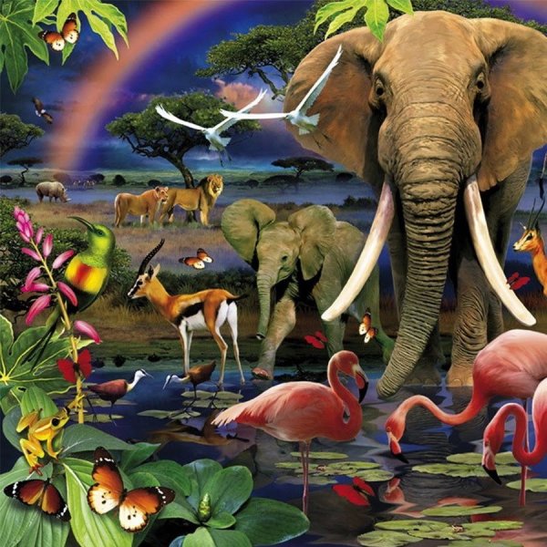 Животный мир планеты