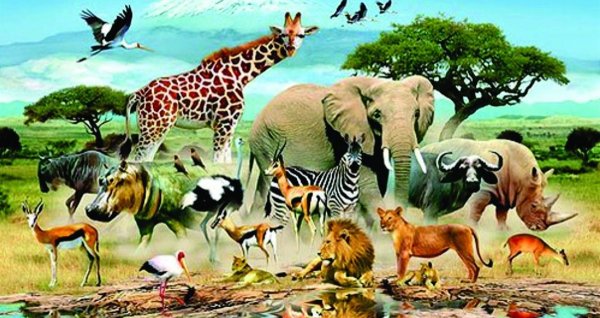 Флора и фауна Африки