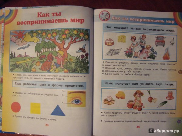 Окружающий мир 1 класс Планета знаний