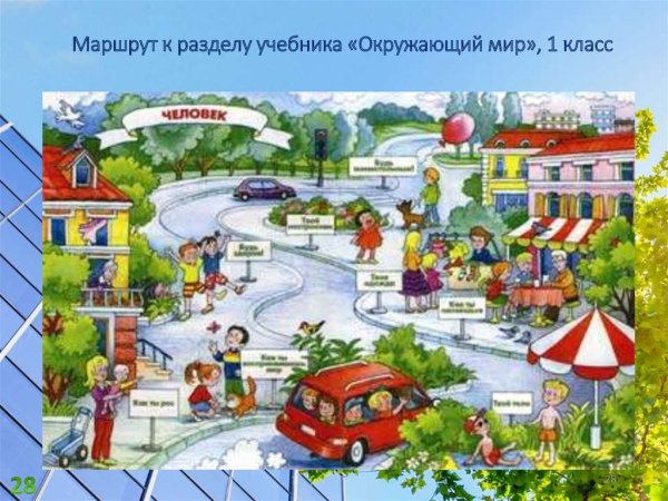 Иллюстрация из учебника окружающего мира