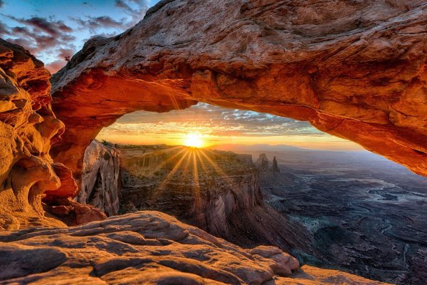 Удивительная природа