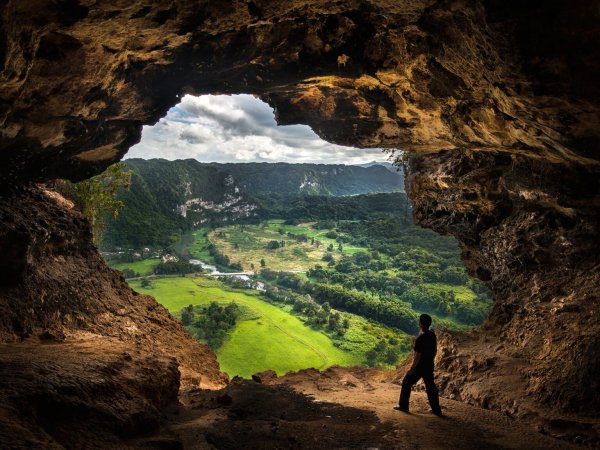 Дикие места