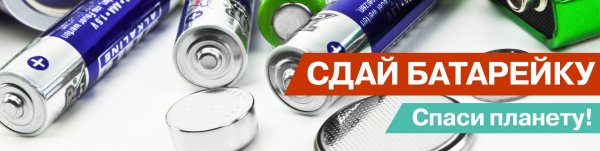 Всемирный день батарейки