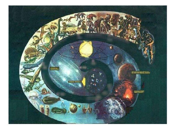 Спираль развития жизни