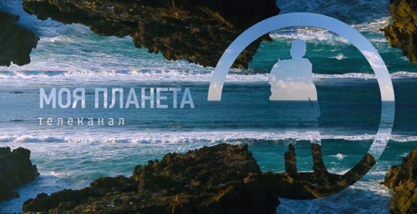 Моя Планета реклама