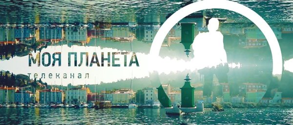 Моя Планета логотип