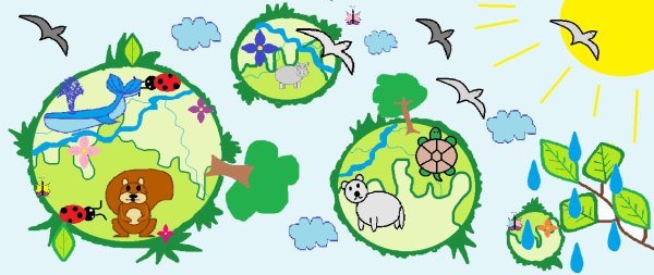 Рисунок на тему живые организмы