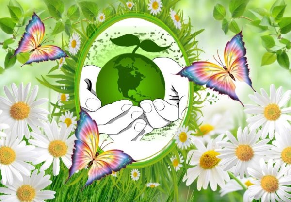 Экология в детском саду