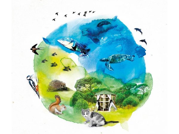 Защита экологии и окружающей среды для детей