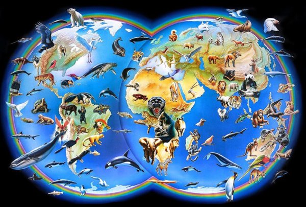 Животный мир планеты земля