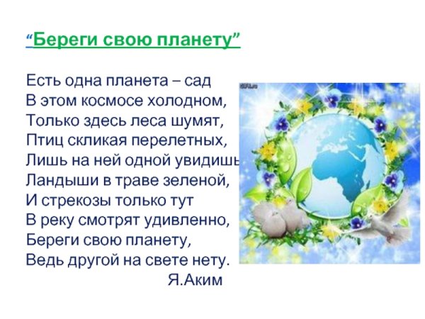 Стих берегите землю берегите