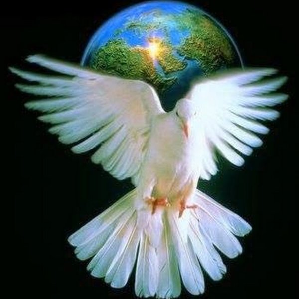 Голубь мира