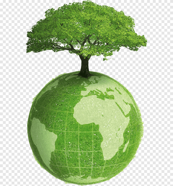 Окружающая природа