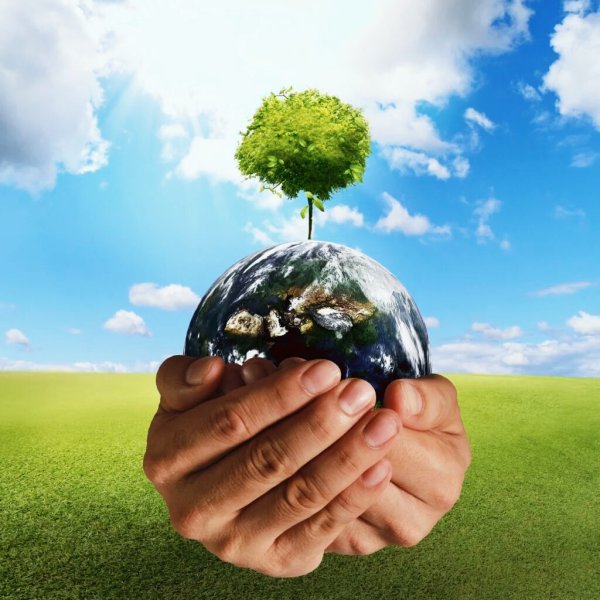 Природа экология