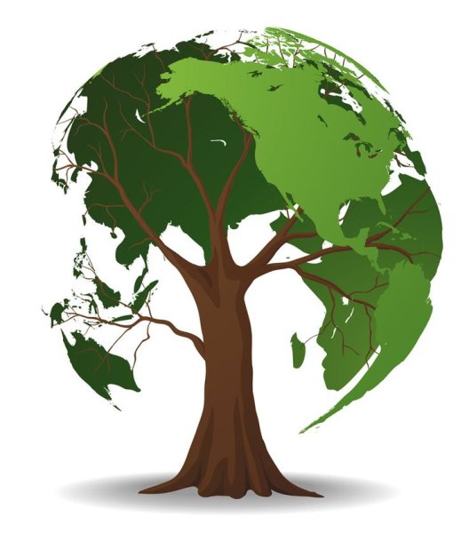 Экология зеленое дерево