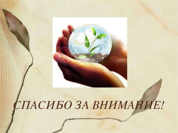 Спасибо за внимание экология