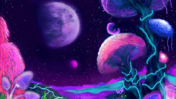 Сказочный лес космос