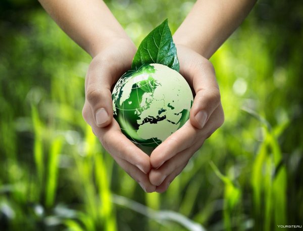 Защита окружающей природы