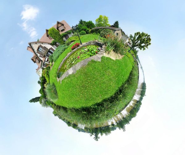 Озеленение планеты